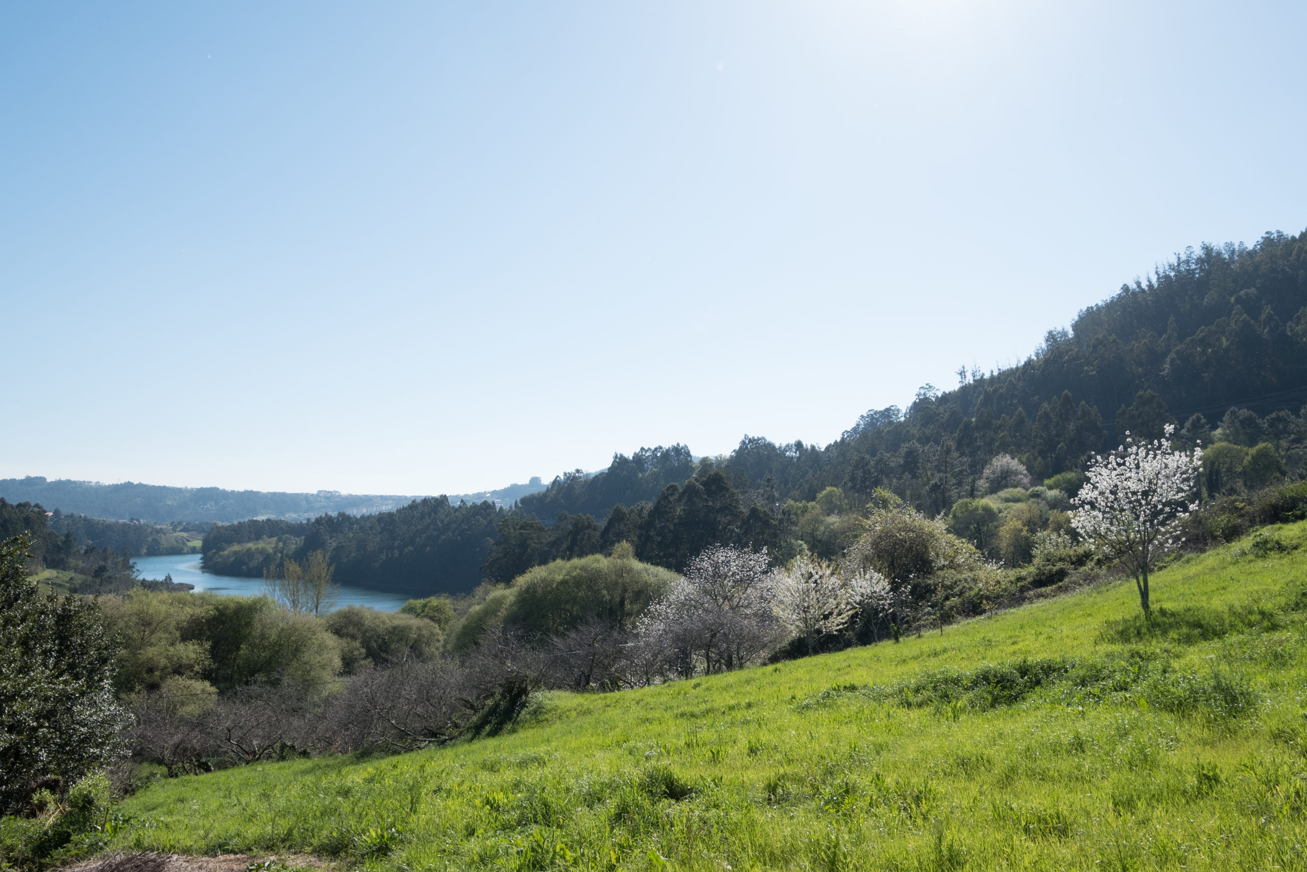 Propietarios en Ferrolterra: convierte tu inmueble rural en un activo rentable