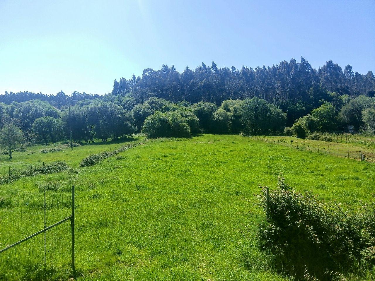 Suelos en Ferrolterra: tipos de terreno, precios y oportunidades inmobiliarias en 2026